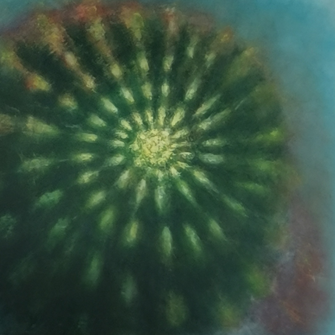 Spira Mirabilis